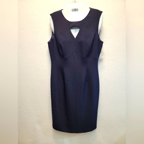 BLACK LABEL BY EVAN PICONE Women's Size 4 Sleeveless Lined Dress w/Front… - Picture 1 of 13